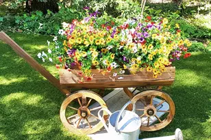 1440 Dog Bar, Colfax, CA 95713 - Photo 65