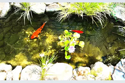 1440 Dog Bar, Colfax, CA 95713 - Photo 5