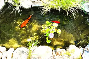 1440 Dog Bar, Colfax, CA 95713 - Photo 5