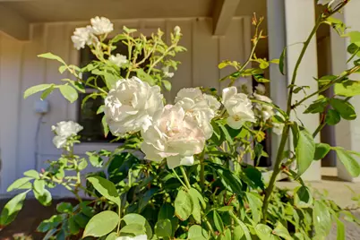 306 Lone Jack Court #24, Grass Valley, CA 95945 - Photo 53