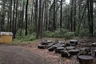 22700 Johnson Valley Rd, Foresthill, CA 95631 - Photo 51