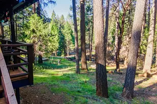 22700 Johnson Valley Rd, Foresthill, CA 95631 - Photo 39