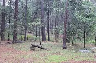 22700 Johnson Valley Rd, Foresthill, CA 95631 - Photo 57