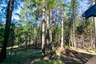 22700 Johnson Valley Rd, Foresthill, CA 95631 - Photo 37