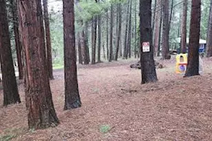 22700 Johnson Valley Rd, Foresthill, CA 95631 - Photo 49