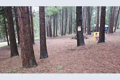 22700 Johnson Valley Road, Foresthill, CA 95631 - Photo 5