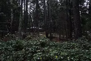 22700 Johnson Valley Rd, Foresthill, CA 95631 - Photo 59