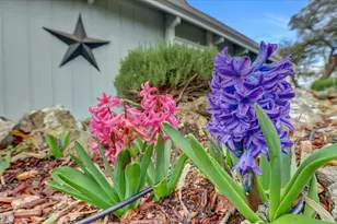 12025 Wanderer Rd, Auburn, CA 95602 - Photo 73