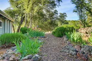 12025 Wanderer Rd, Auburn, CA 95602 - Photo 51