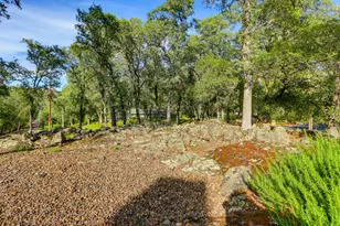12025 Wanderer Rd, Auburn, CA 95602 - Photo 69