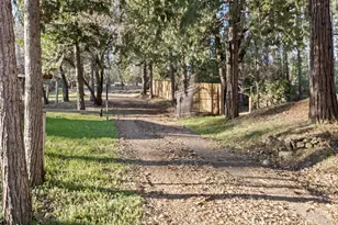 10761 Texas Hill Rd, Dobbins, CA 95935 - Photo 45