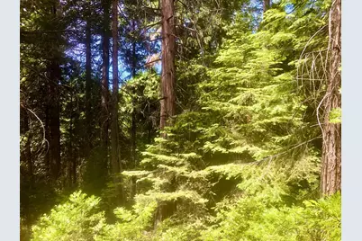 0 Park Woods Drive, Pollock Pines, CA 95726 - Photo 13