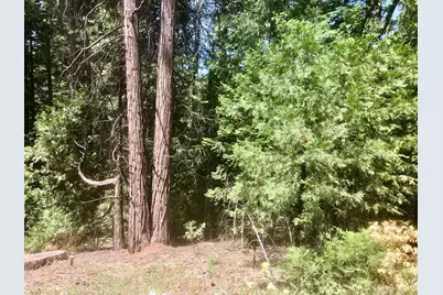 0 Park Woods Drive, Pollock Pines, CA 95726 - Photo 9