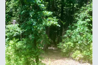 0 Park Woods Drive, Pollock Pines, CA 95726 - Photo 17