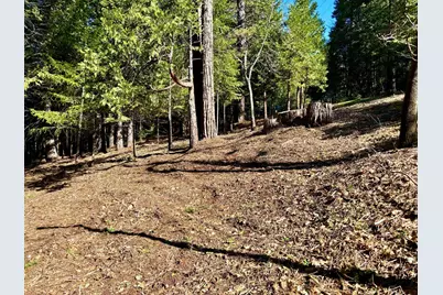 0 Park Woods Drive, Pollock Pines, CA 95726 - Photo 5