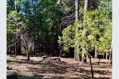 0 Park Woods Drive, Pollock Pines, CA 95726 - Photo 1