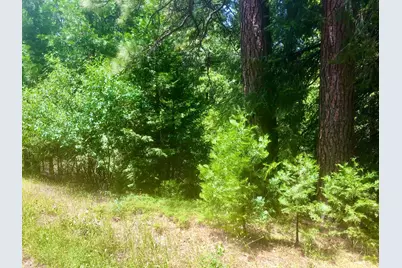 0 Park Woods Drive, Pollock Pines, CA 95726 - Photo 11