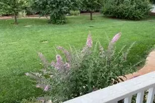 3217 Pleasant Valley Rd, Placerville, CA 95667 - Photo 63