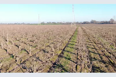 14248 E Peltier Road, Acampo, CA 95220 - Photo 15