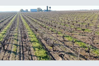 14248 E Peltier Road, Acampo, CA 95220 - Photo 17