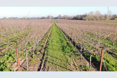 14248 E Peltier Road, Acampo, CA 95220 - Photo 25