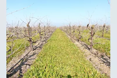 3587 W Sargent Road, Lodi, CA 95242 - Photo 7