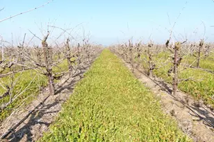 3587 W Sargent Rd, Lodi, CA 95242 - Photo 7