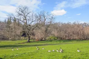 7727 Granite Ave, Orangevale, CA 95662 - Photo 71