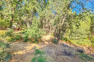 3221 Brauer Rd, Georgetown, CA 95634 - Photo 23