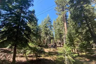 7464 Lily Ave, Tahoe Vista, CA 96148 - Photo 1