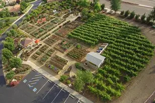 7358 Grassy Creek Way, El Dorado Hills, CA 95762 - Photo 51