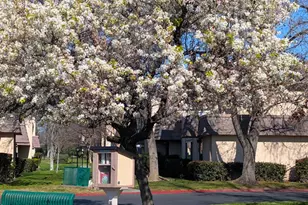 6064 Via Casitas, Carmichael, CA 95608 - Photo 31