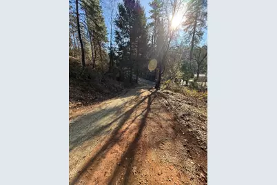 979 Dorothy Way, West Point, CA 95255 - Photo 11