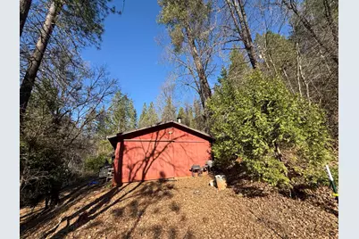 979 Dorothy Way, West Point, CA 95255 - Photo 9