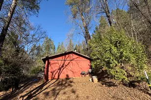 979 Dorothy Way, West Point, CA 95255 - Photo 9