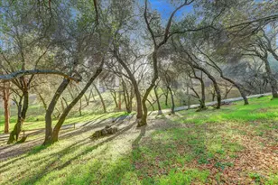 2790 Black Oak Rd, Auburn, CA 95602 - Photo 63