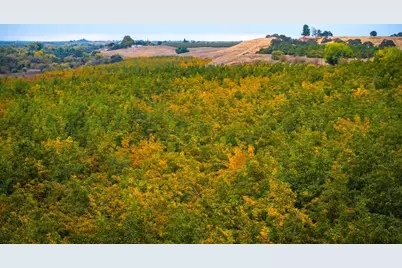 24608 Yosemite Boulevard, Waterford, CA 95386 - Photo 17