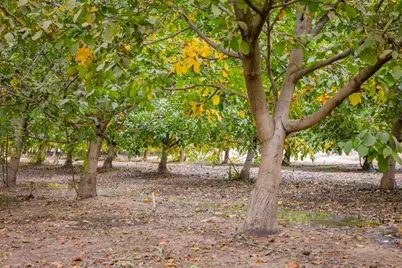 24608 Yosemite Boulevard, Waterford, CA 95386 - Photo 19