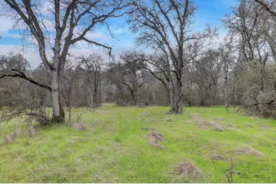 0 Scott Forbes Road, Browns Valley, CA 95918 - Photo 31