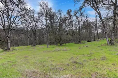 0 Scott Forbes Road, Browns Valley, CA 95918 - Photo 37
