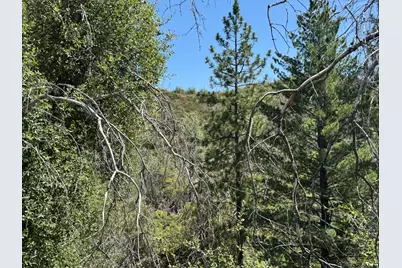 9055 Rodesino Road, Mountain Ranch, CA 95246 - Photo 9