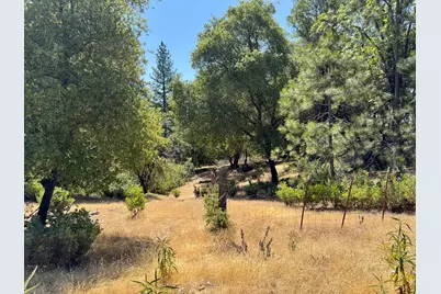 9055 Rodesino Road, Mountain Ranch, CA 95246 - Photo 19