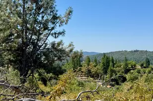 9055 Rodesino Rd, Mountain Ranch, CA 95246 - Photo 1