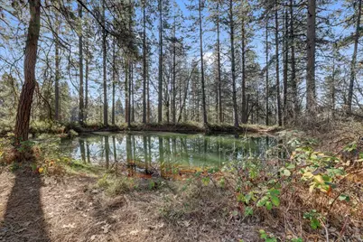 15348 Kingsbury Circle, Grass Valley, CA 95949 - Photo 51