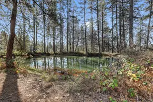 15348 Kingsbury Cir, Grass Valley, CA 95949 - Photo 51