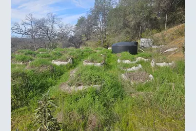 4394 Appaloosa Way, Angels Camp, CA 95222 - Photo 11