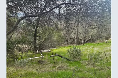 4394 Appaloosa Way, Angels Camp, CA 95222 - Photo 3