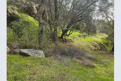 4394 Appaloosa Way, Angels Camp, CA 95222 - Photo 7