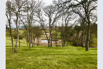 287 Hawkridge Road, Copperopolis, CA 95228 - Photo 29