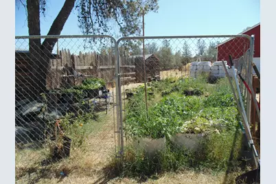 4161 Ginger Road, Garden Valley, CA 95651 - Photo 9
